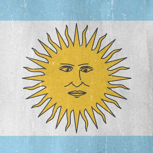 Argentina Flag Distressed iPhone XR Skin