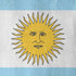 Argentina Flag Distressed iPhone XR Skin