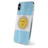 Argentina Flag Distressed iPhone XS Skin