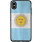 Argentina Flag Distressed Otterbox Symmetry iPhone Skin