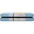 Argentina Flag Distressed PS4 Console Skin