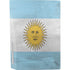 Argentina Flag Distressed PS5 Bundle Skin