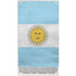 Argentina Flag Distressed Xbox Series S Skins