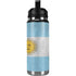 Argentina Flag Distressed YETI Rambler 26oz Bottle Skin