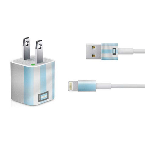 Argentina Soccer Flag iPhone Charger (5W USB) Skin