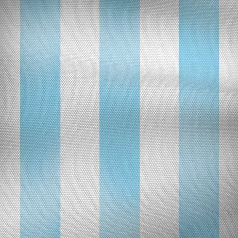Argentina Soccer Flag iPhone X Skin