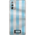 Argentina Soccer Flag Galaxy Note20 5G Skin
