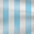 Argentina Soccer Flag iPhone XR Pro Case