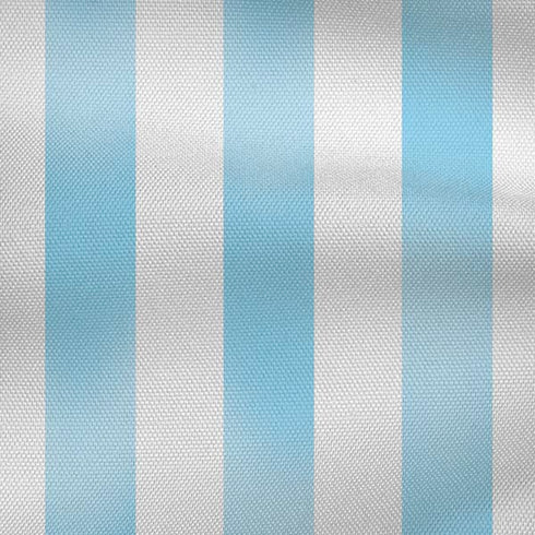 Argentina Soccer Flag iPhone XR Skin