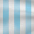 Argentina Soccer Flag iPhone XR Skin