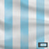 Argentina Soccer Flag PS4 Console and Controller Bundle Skin