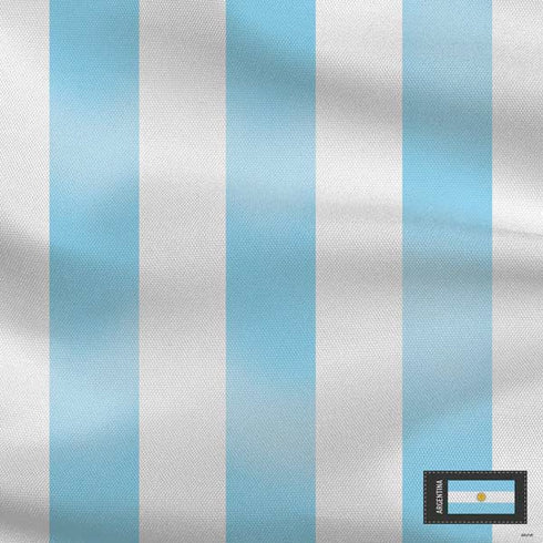 Argentina Soccer Flag PS4 Console Skin