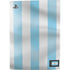 Argentina Soccer Flag PS5 Console Skin