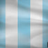 Argentina Soccer Flag Surface Book 2 15in Skin