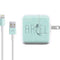 Disney The Little Mermaid Ariel Daydreamer Art iPad Charger (10W USB) Skin