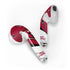 NFL Arizona Cardinals Apple AirPods Skin