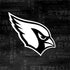 NFL Arizona Cardinals Black & White HP Spectre Skin