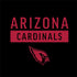 NFL Arizona Cardinals Black Performance Series Nintendo 2DS XL (2017) Skin