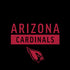NFL Arizona Cardinals Black Performance Series iPhone X Pro Case
