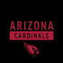 NFL Arizona Cardinals Black Performance Series iPhone X Skin