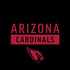NFL Arizona Cardinals Black Performance Series iPhone XS Pro Case