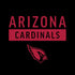 NFL Arizona Cardinals Black Performance Series Moto E5 Play Skin