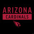 NFL Arizona Cardinals Black Performance Series PS4 Pro Bundle Skin