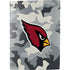 NFL Arizona Cardinals Camo PS5 Bundle Skin