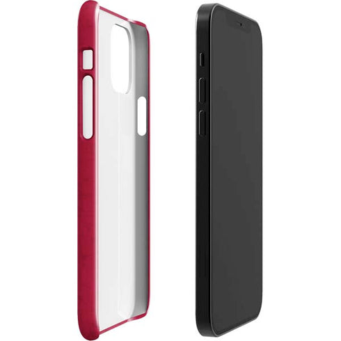NFL Arizona Cardinals Distressed iPhone 12 Mini Lite Case