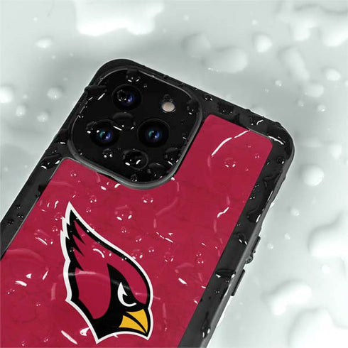 NFL Arizona Cardinals Distressed iPhone 14 Pro Max Waterproof Case