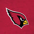NFL Arizona Cardinals Distressed iPhone X Pro Case