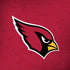 NFL Arizona Cardinals Distressed iPhone X Skin