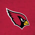 NFL Arizona Cardinals Distressed iPhone XS Skin