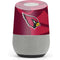 NFL Arizona Cardinals Double Vision Google Home Skin