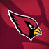 NFL Arizona Cardinals Double Vision iPhone X Pro Case