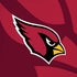 NFL Arizona Cardinals Double Vision iPhone XR Pro Case