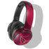 NFL Arizona Cardinals Double Vision Skullcandy Venue Skin