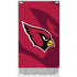NFL Arizona Cardinals Double Vision Xbox Series S Skins