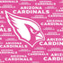 NFL Arizona Cardinals Pink Blast PS4 Pro Bundle Skin