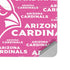 NFL Arizona Cardinals Pink Blast Surface Laptop Studio Skin