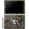 NFL Arizona Cardinals Realtree Xtra Green Camo Galaxy Book 12in Skin