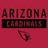 NFL Arizona Cardinals Red Performance Series PS4 Pro Bundle Skin
