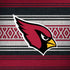 NFL Arizona Cardinals Trailblazer Dell Alienware Skin