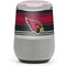 NFL Arizona Cardinals Trailblazer Google Home Skin