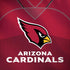 NFL Arizona Cardinals Team Jersey Dell Alienware Skin