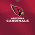NFL Arizona Cardinals Team Jersey iPhone X Pro Case