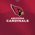 NFL Arizona Cardinals Team Jersey iPhone XR Skin
