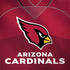 NFL Arizona Cardinals Team Jersey Legion Y720 Skin