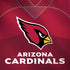 NFL Arizona Cardinals Team Jersey Notebook 9 Pro 13in (2017) Skin