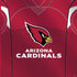 NFL Arizona Cardinals Team Jersey PS4 Slim Skin
